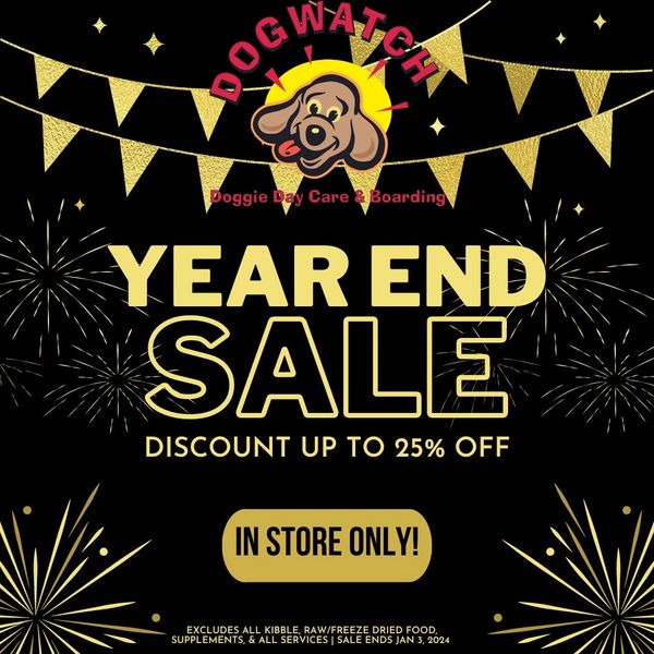 DogWatch Doggie Day Care & Boarding Dog Boarding, Dog Daycare